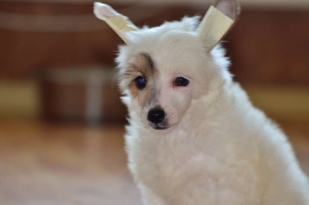 Elance Louange Should At Stay