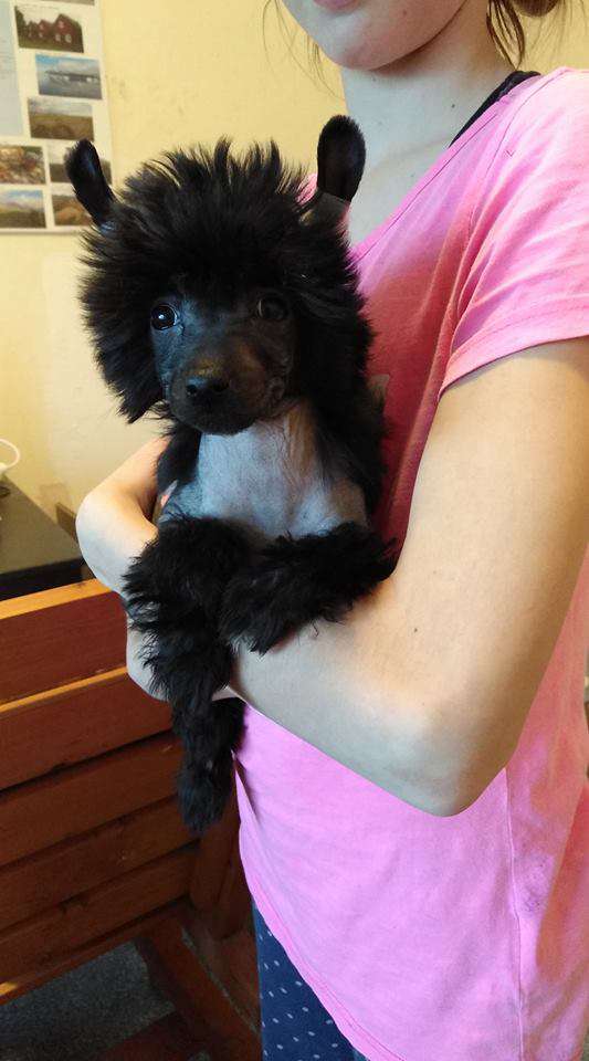 Heidrún Toutou Velu