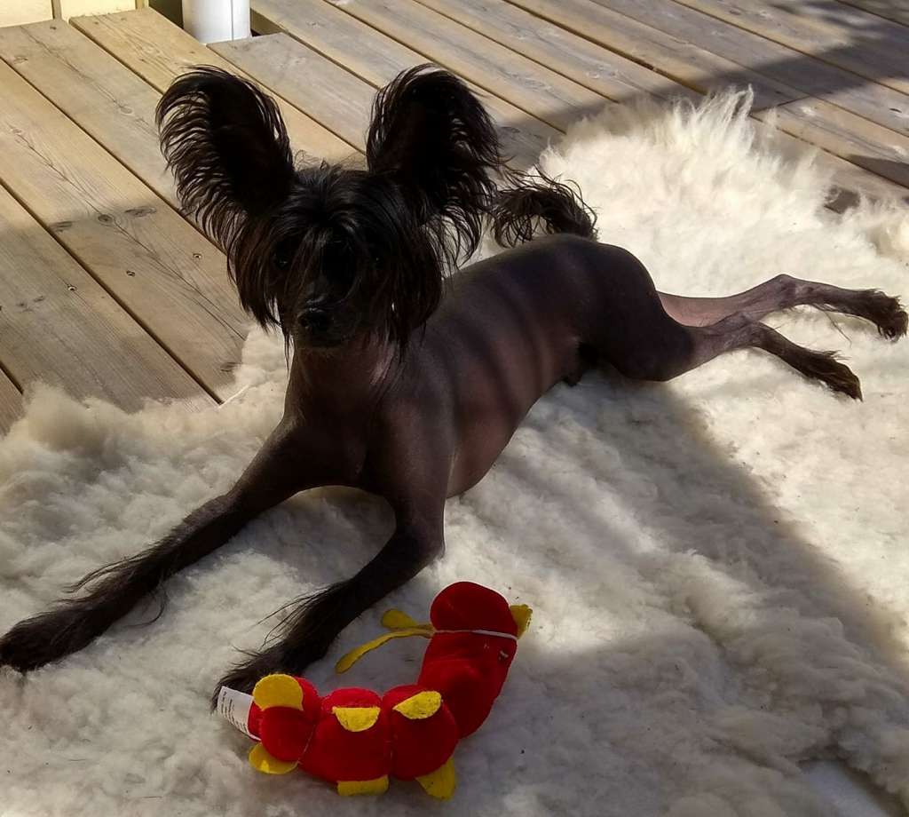 Charuyuschiy Soblazn Choise for Heidi