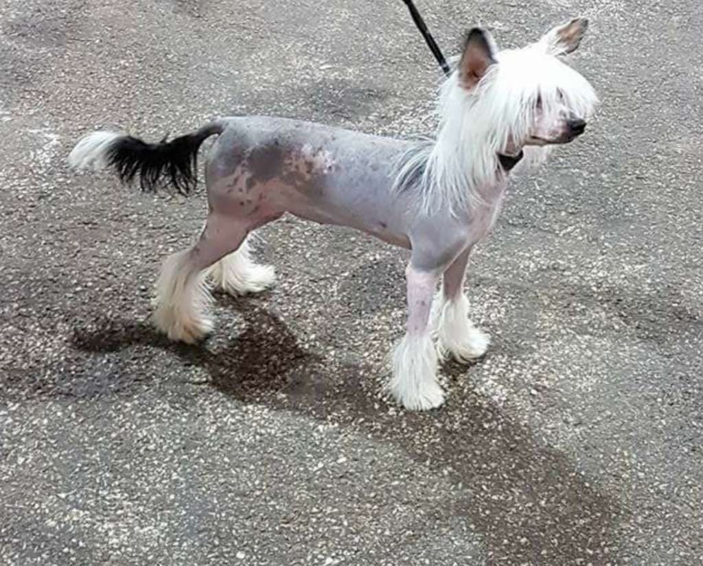 Millvosis Ab Fabulous