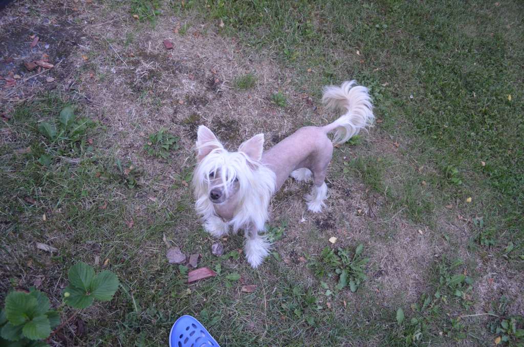 Sun Dan Day At The Beach