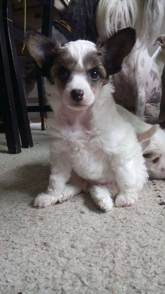 Bemu's Hidden Treasure