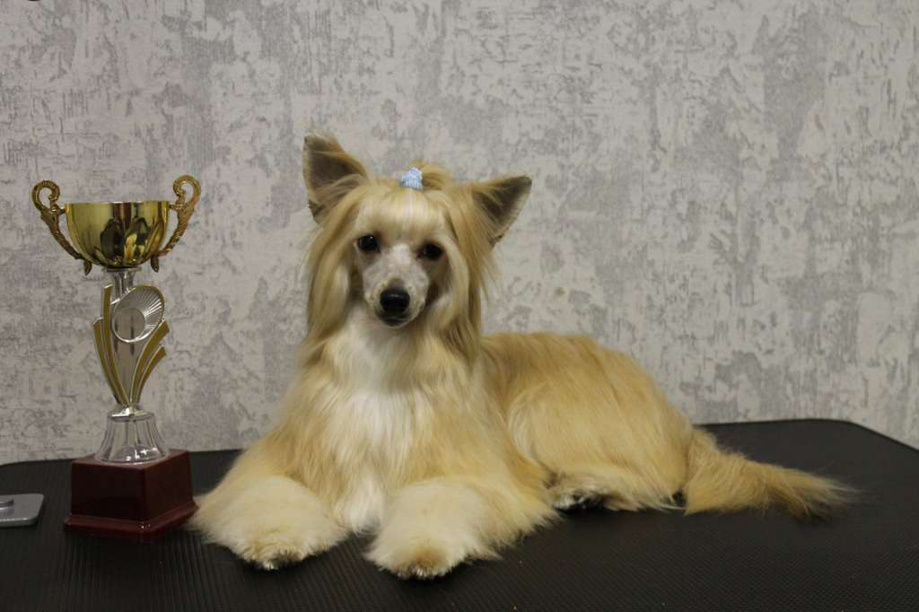 Sally Beautiful Princess