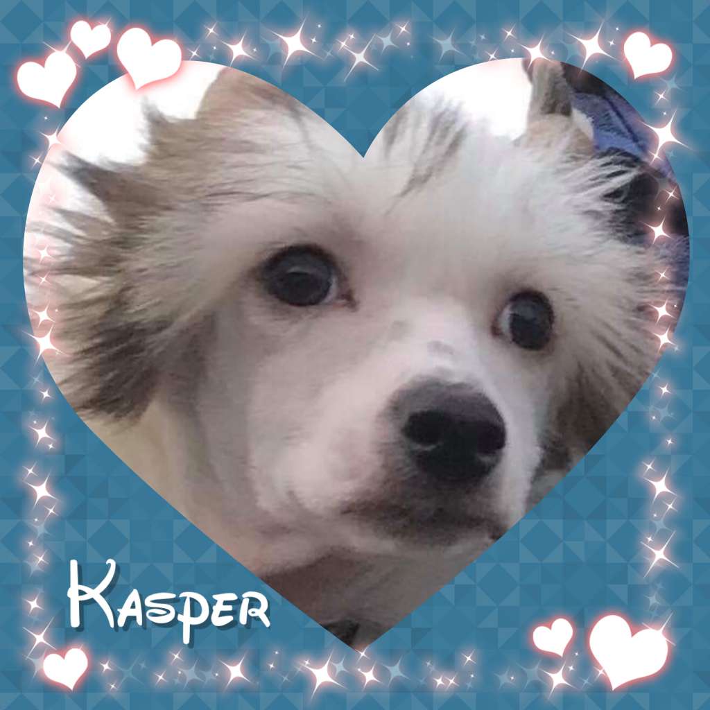 Crest'd Label All The Way