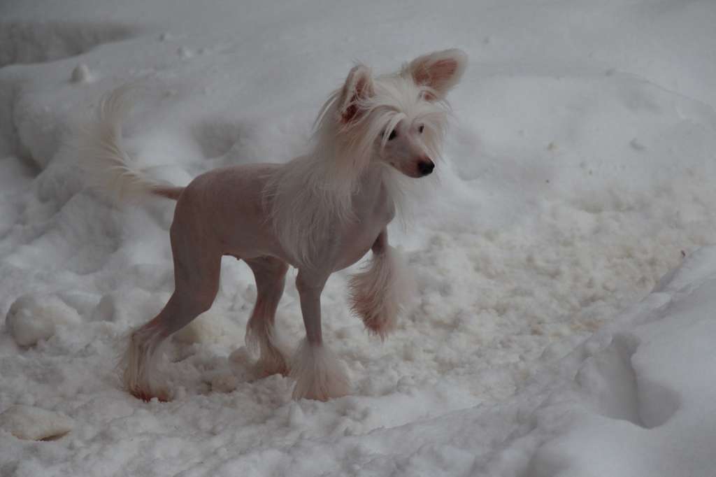 Bella Constanta Hope of my future