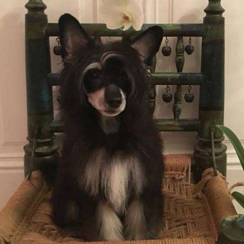 Ursus Little Diamond Place