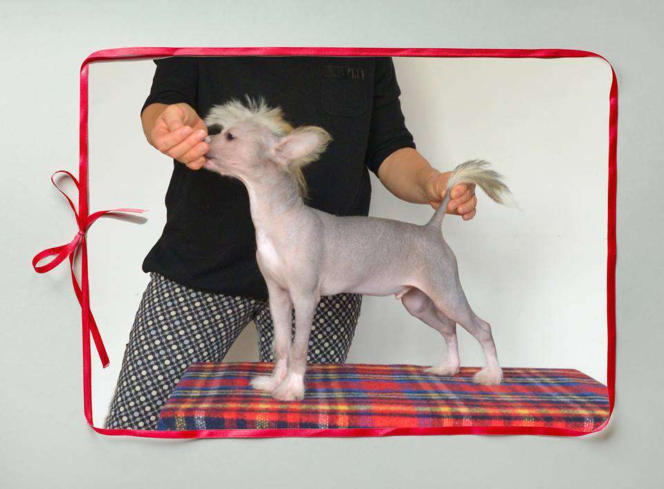 Secret I Tylko Jeden Swiat