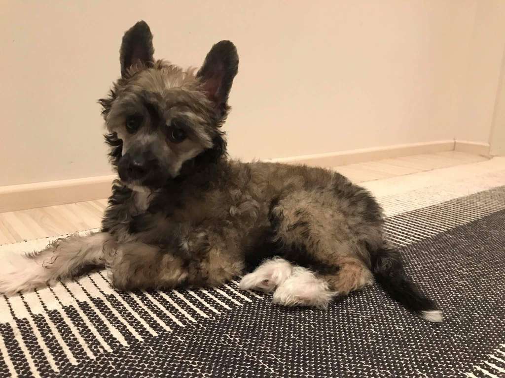 Mirbon's Dylan Wilpert