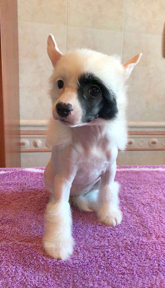 Dakota Rose I'll Take Your Heart