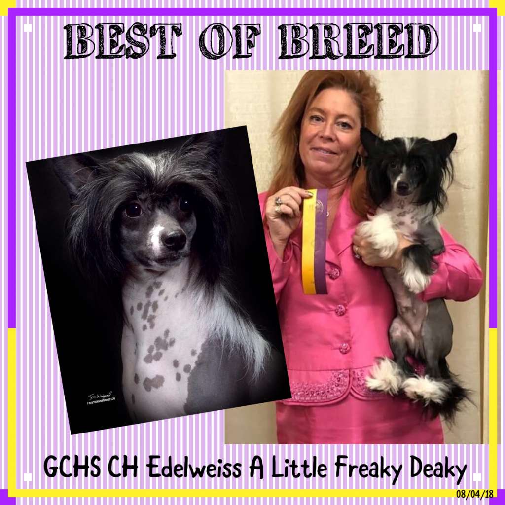 Edelweiss A Little Freaky Deaky