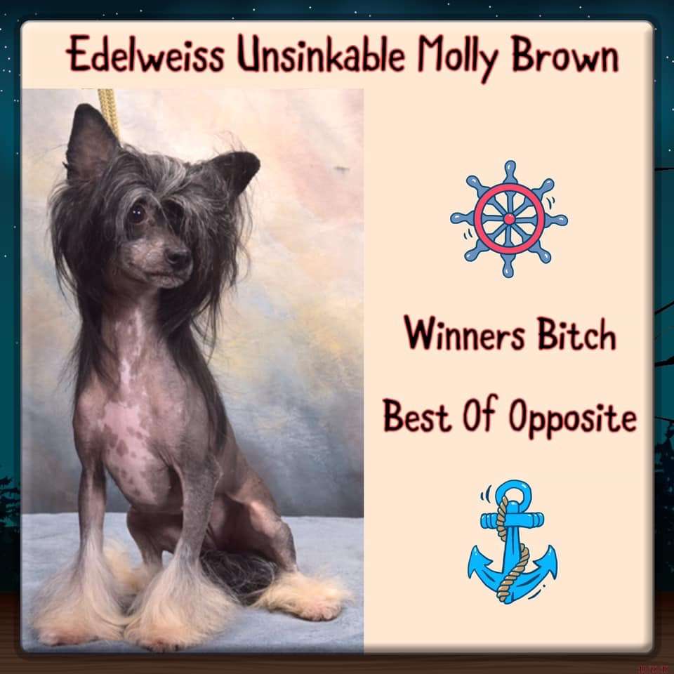 Edelweiss Unsinkable Molly Brown