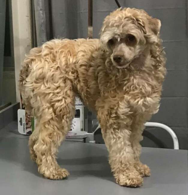 Raven's Grandpa Richard