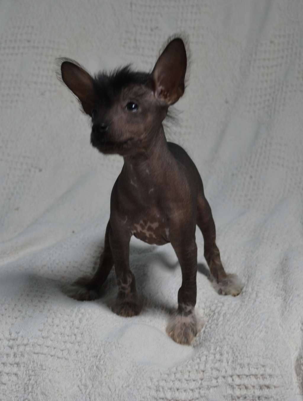 Nom De L'orée Des Rêves