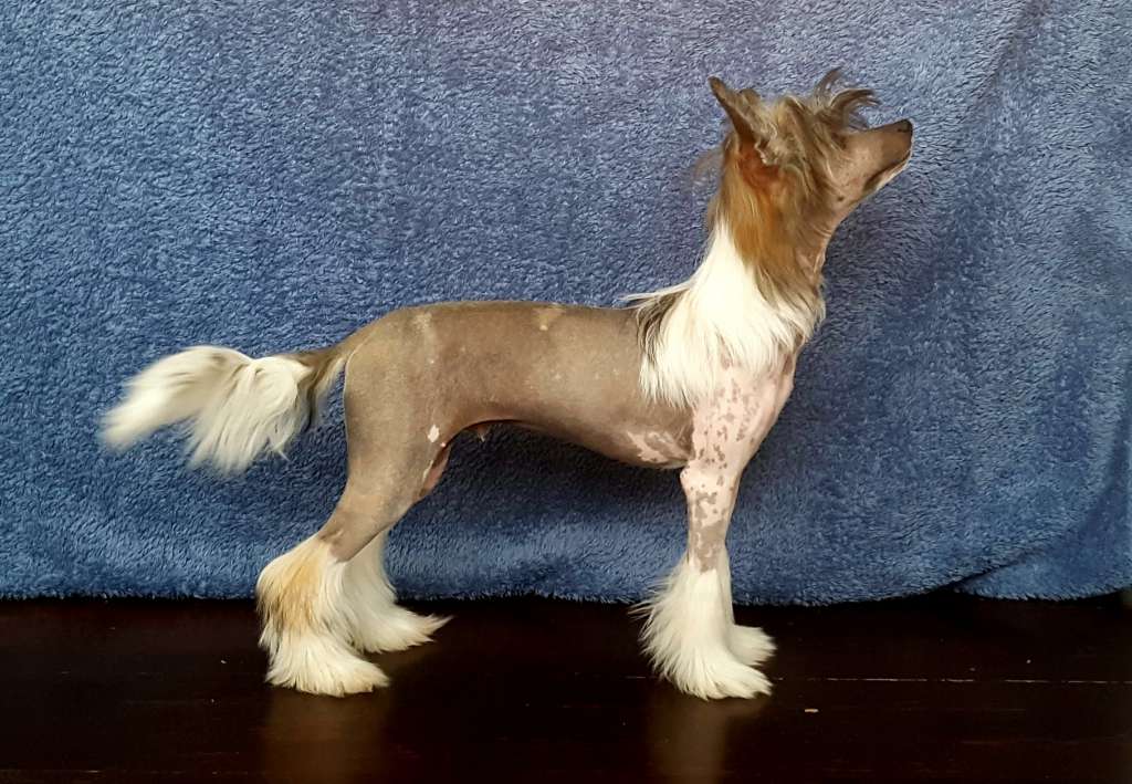 Vivilinn's Run To You