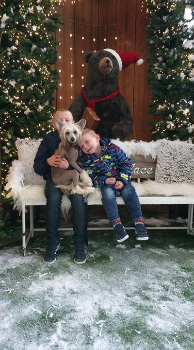 Qute Ollie of the loving dols