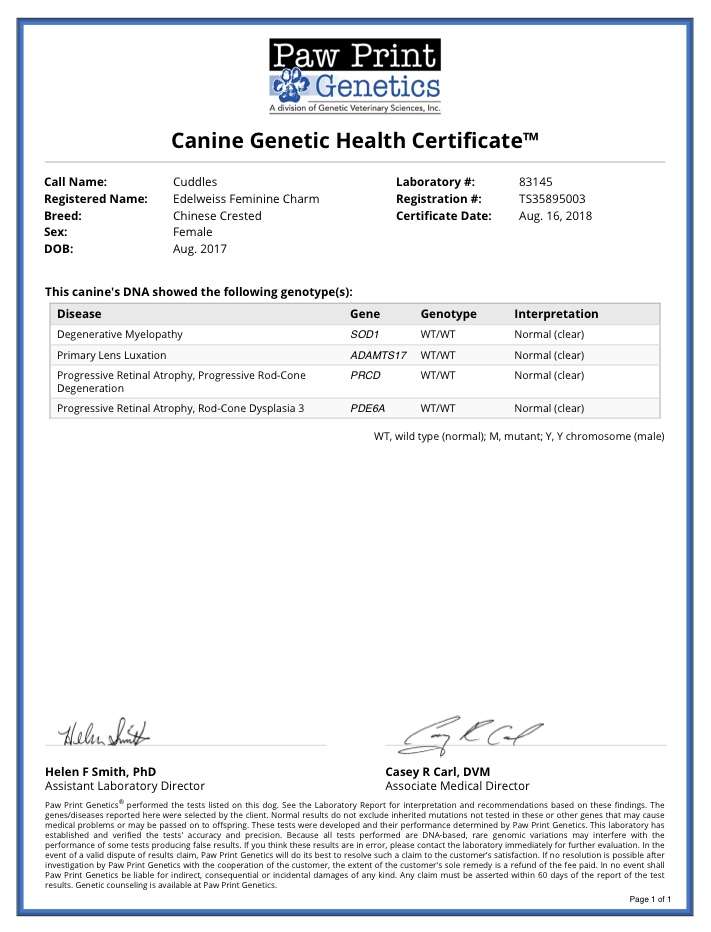 Edelweiss Feminine Charm