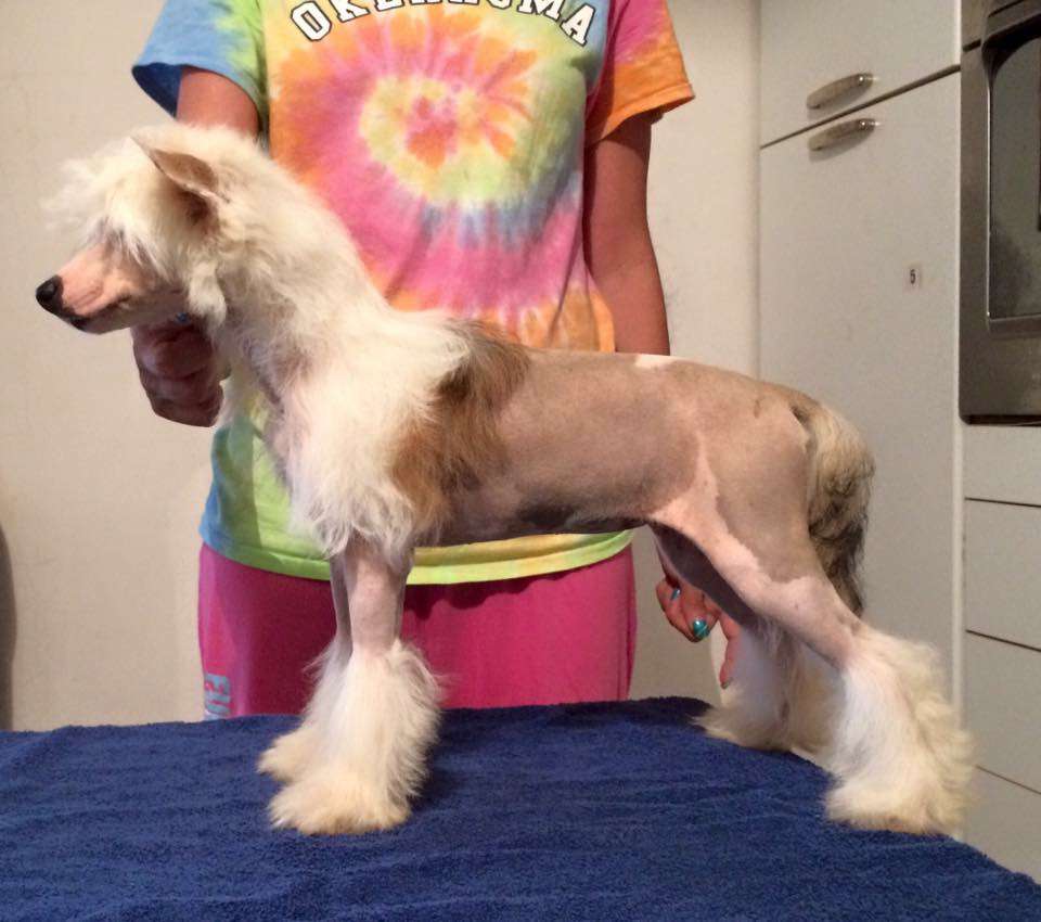 Khnum divinità creatrice di casa megi