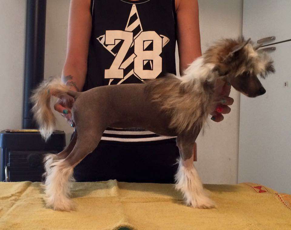 Kali la nera di casa megi