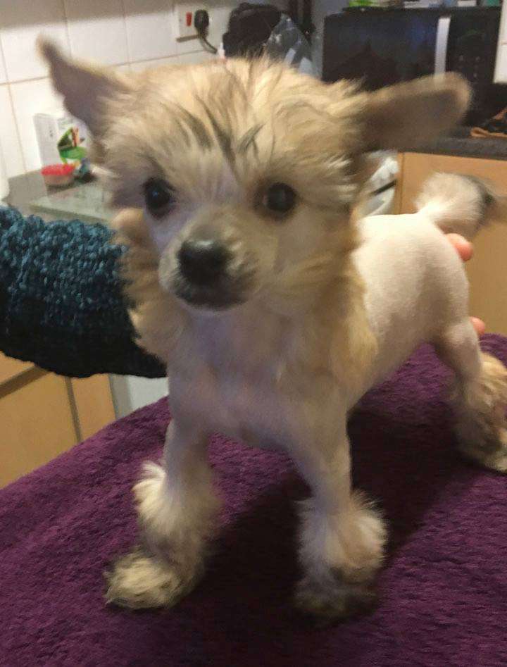 Parcauwen Secret Romance