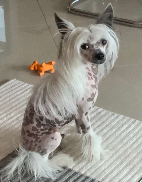 Fundoklia-völgyi Kaszanics Gerald