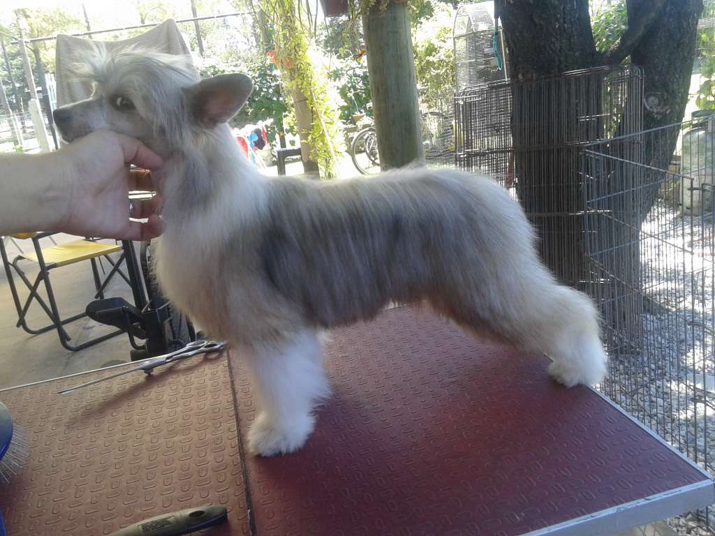 You Know Nothing Falazairroo