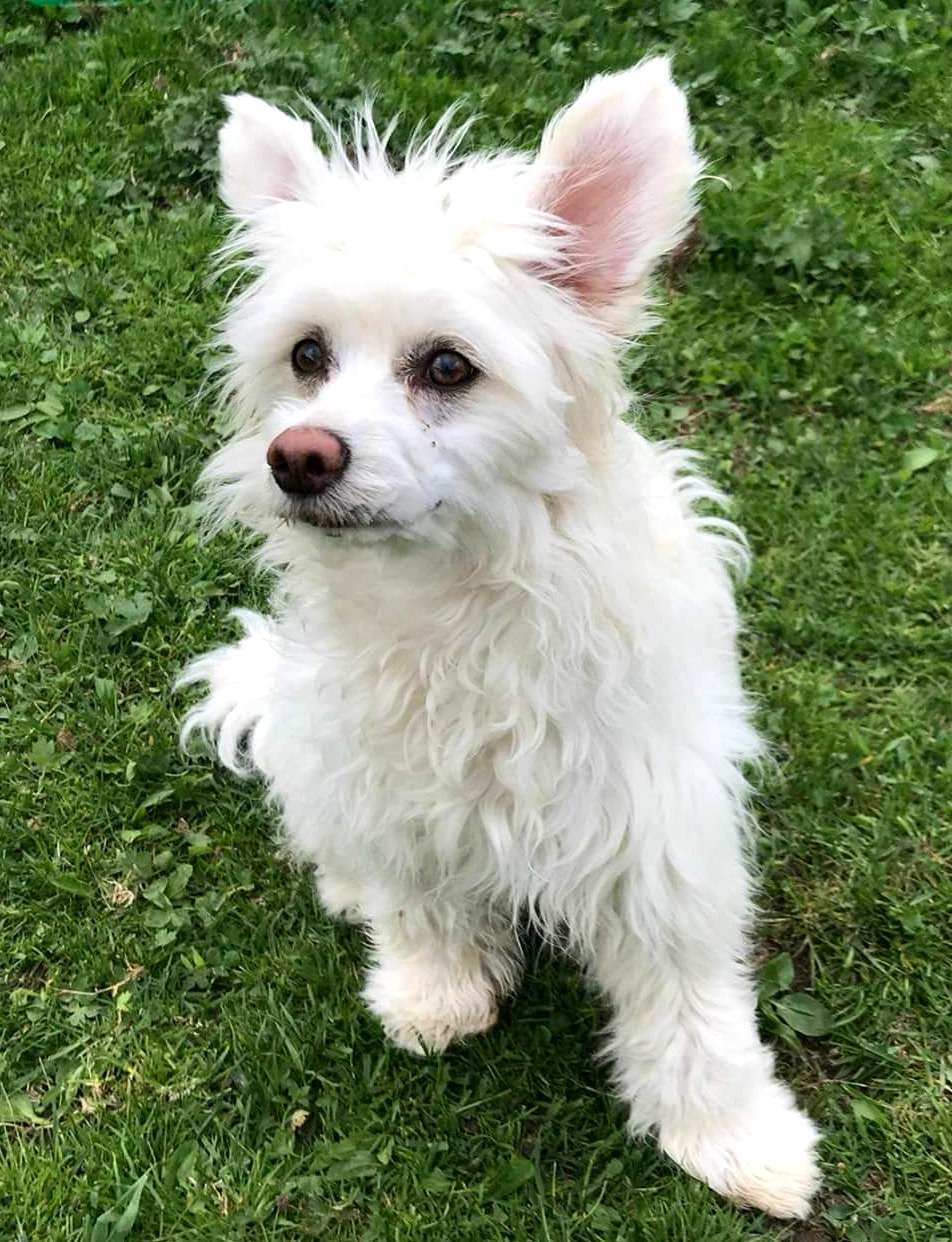 So-soft Look Like an Angel