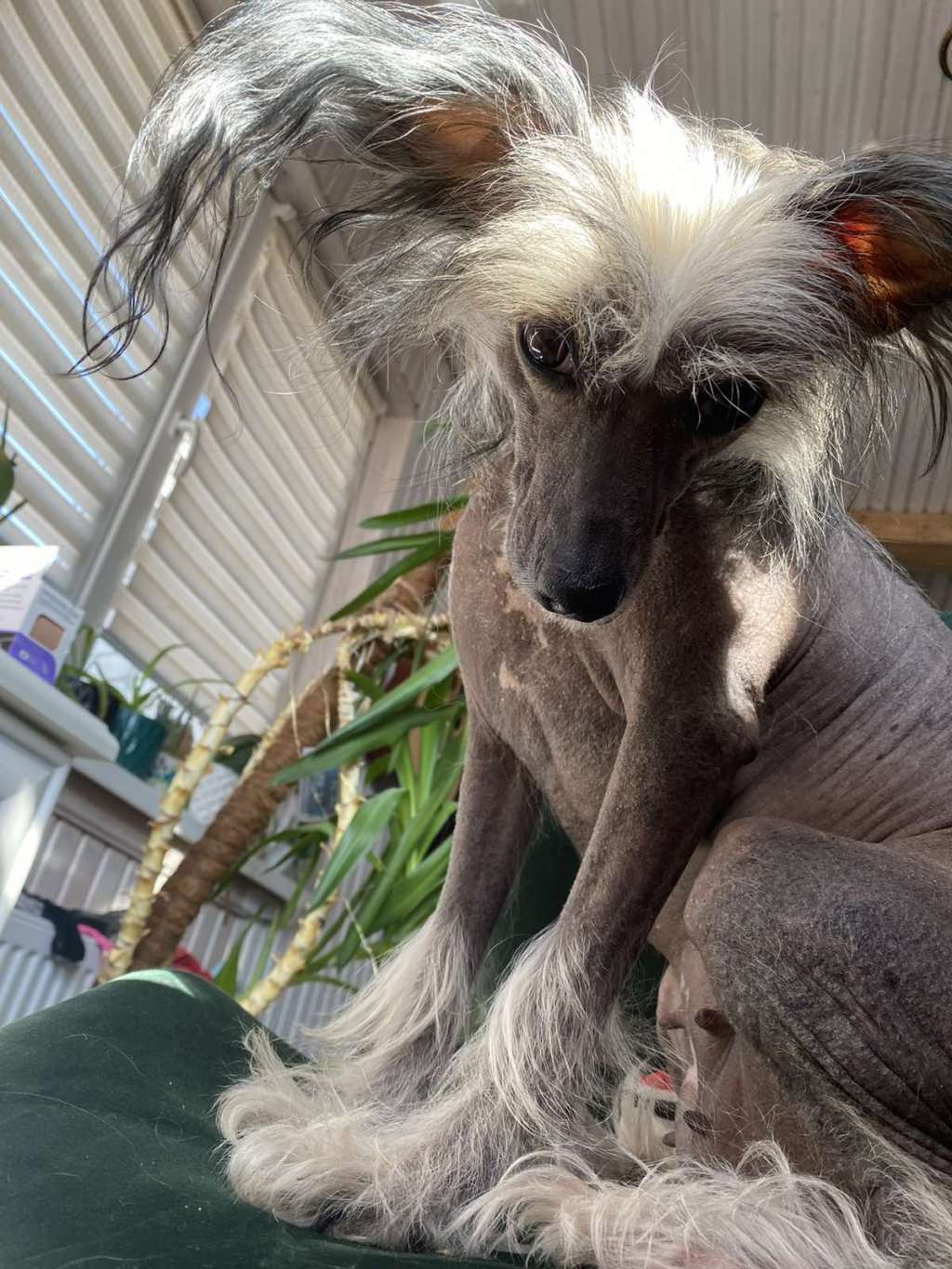 Zima Blizko Aleksa's House