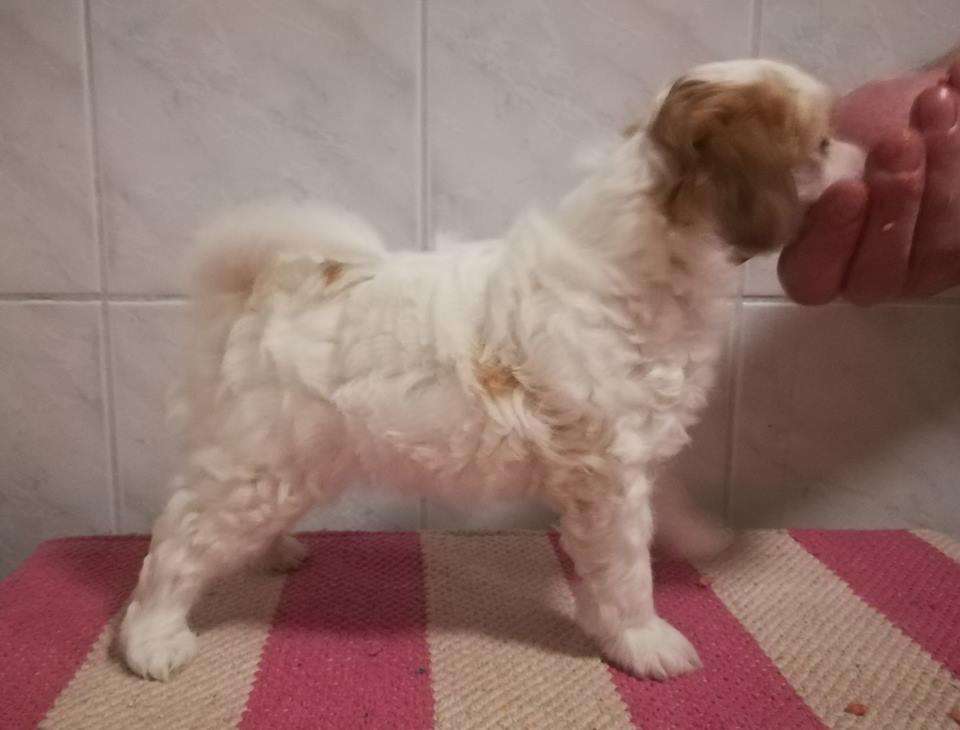 Stormblåstens Captain Obvious