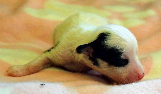 Demi  15.11.2017  28.11.2017