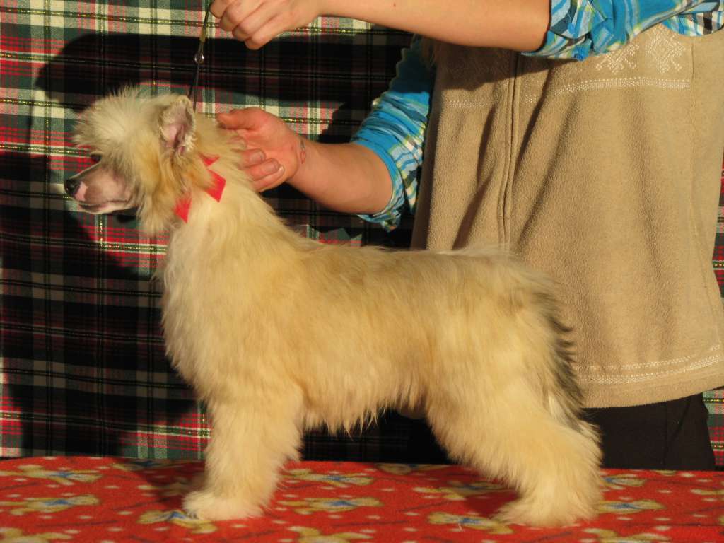 Whispering Lane Destroyin The Illusion