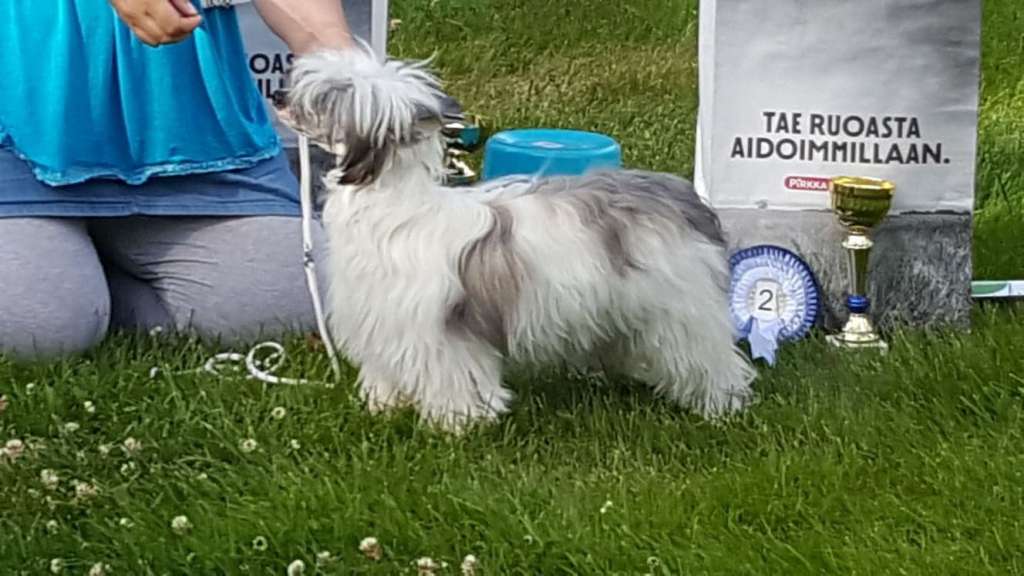 Kaitlin Royal Heiress