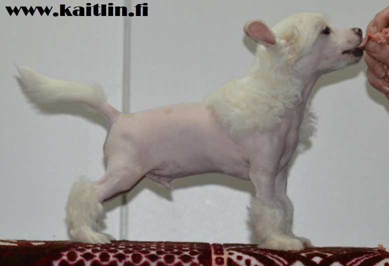 Kaitlin Sa Cmon And Let It Snow