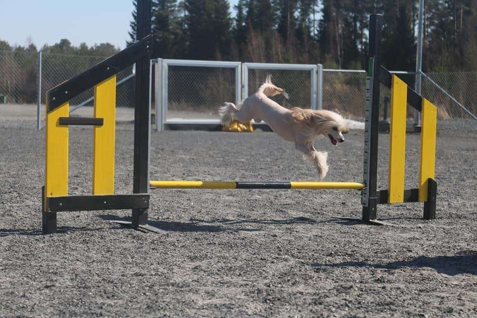 Kaitlin Sa The Way That I Feel