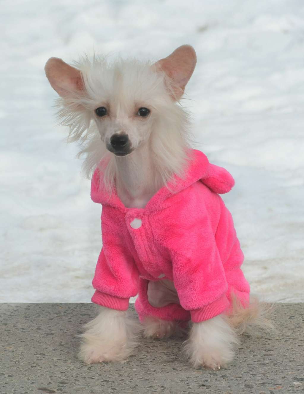 Magic of Success Yaryna