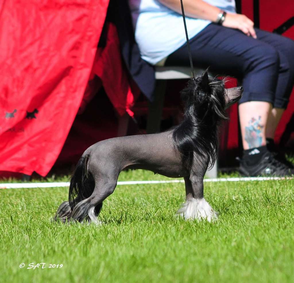 Oblivion Donkey Punch