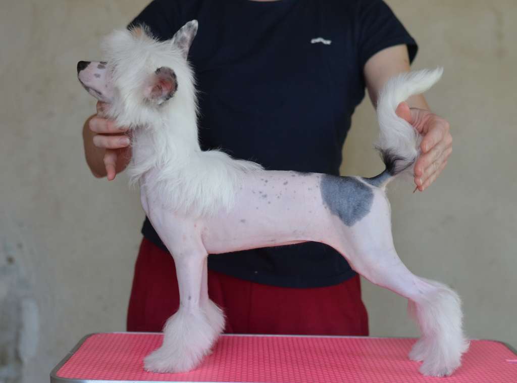 Natural Blonde iz Vanilnyh Snov