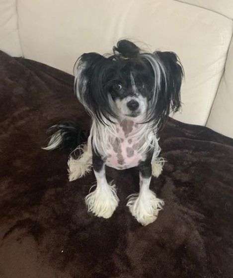 Fundoklia-völgyi Kaszanics Lara