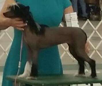 Black Market In Paris By Jove