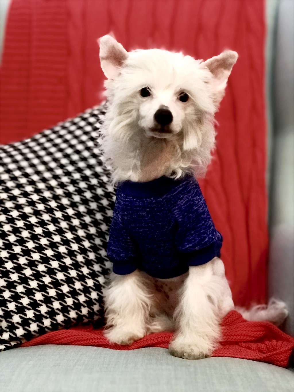 Just Give Me a Reason From Lunae Border