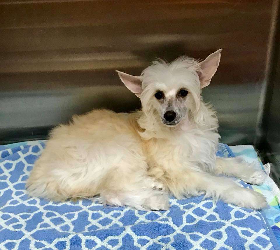 Nina's K One in a Million