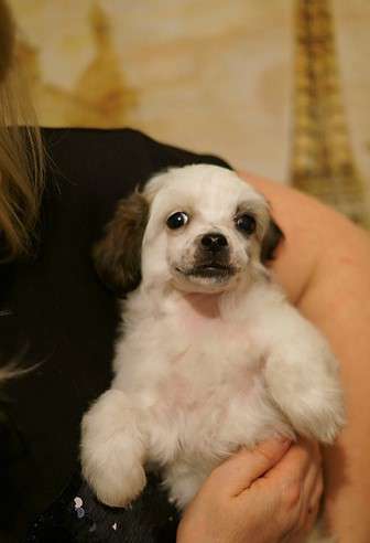 Glenlaif Ben Stiller