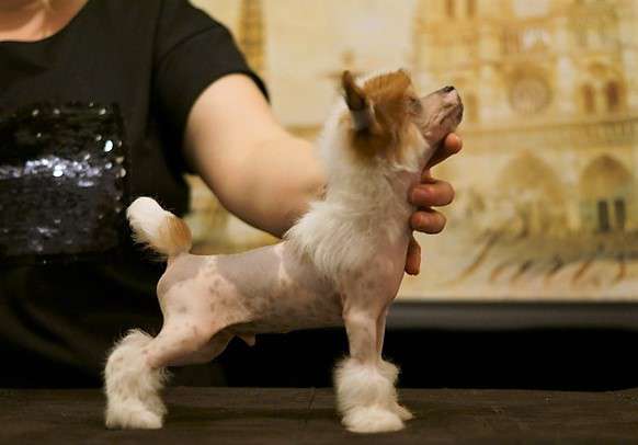 Glenlaif Woody Harrelson