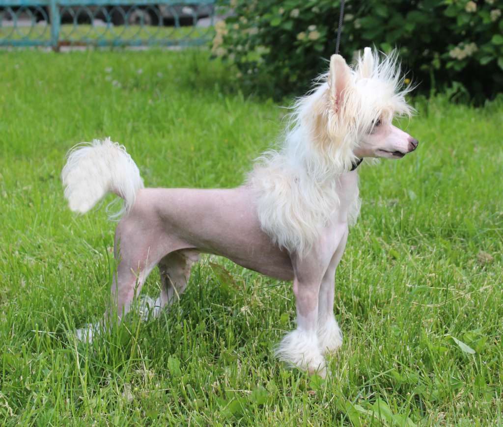 Famrus Presenting What Women Want