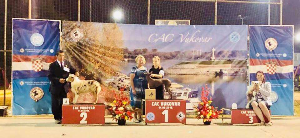 Berniss Il senso della mia vita