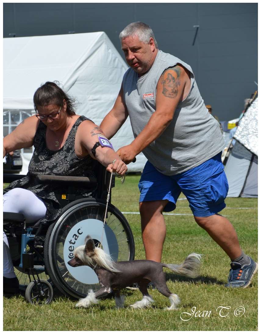 Instantly Love Heybett