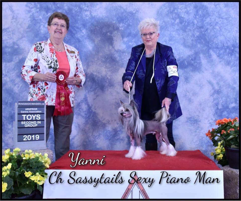 BBPIS  Can GCh Sassytails Sexy Piano Man