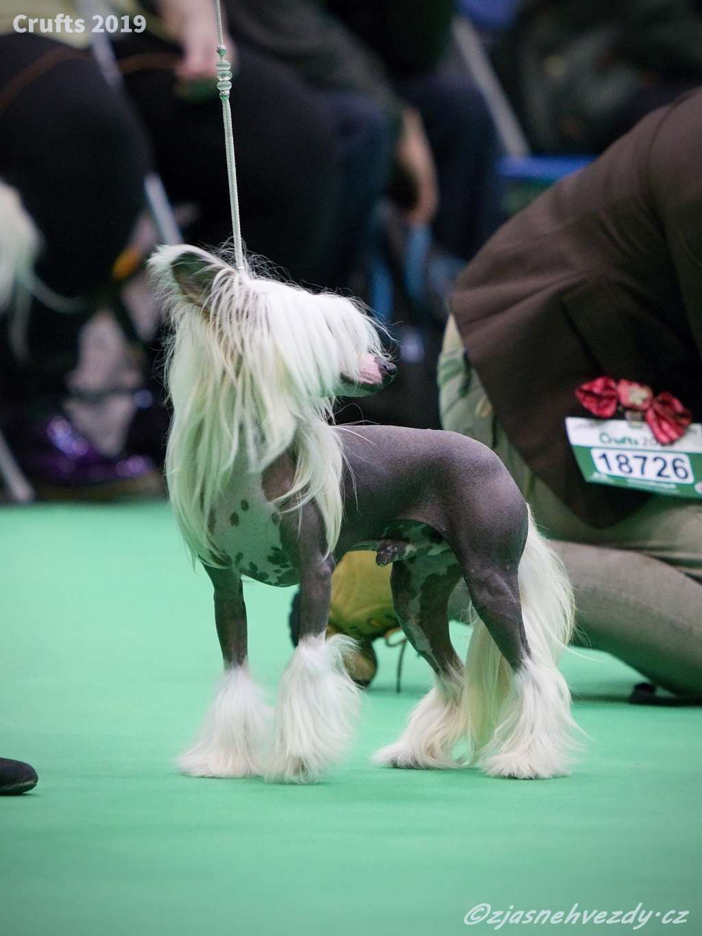 Touch Beauty Fire Power  JW