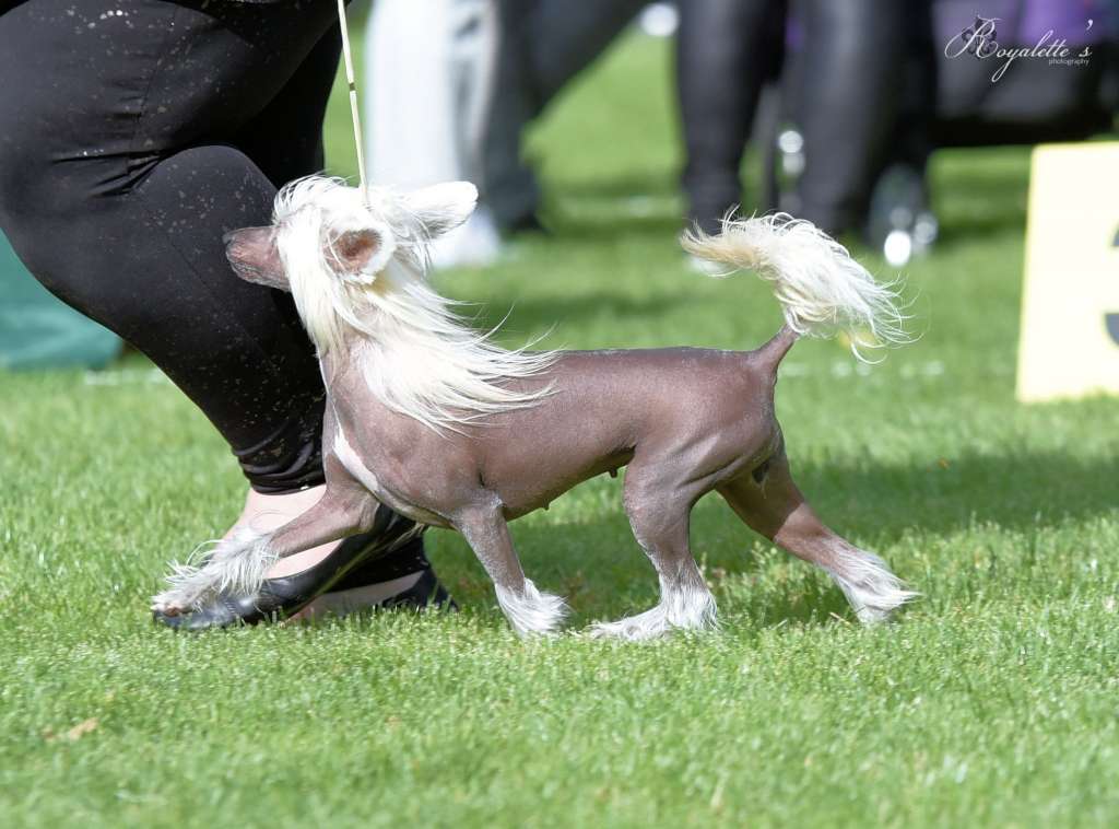 Touch Beauty Fairy Tale