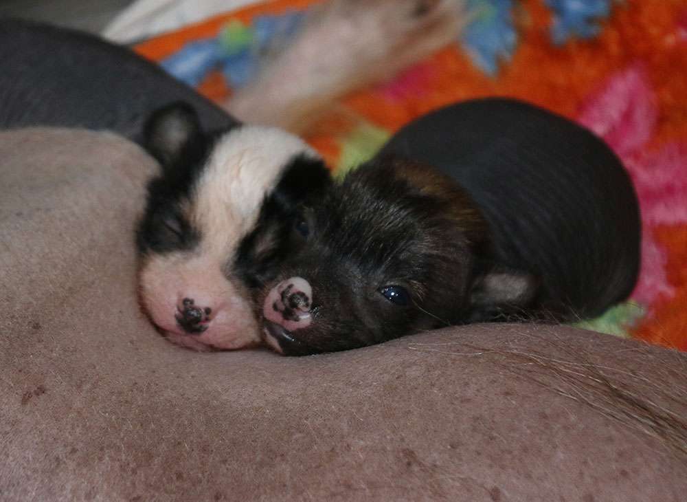 Waiting So Long Diamond