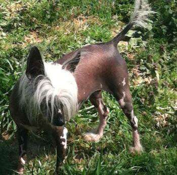 Dirty Tricks Of Cosmic